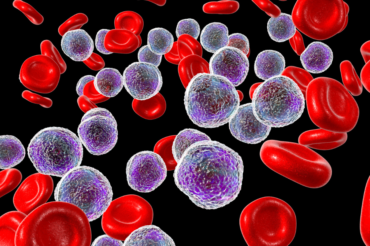 inflamación y sistema inmunológico