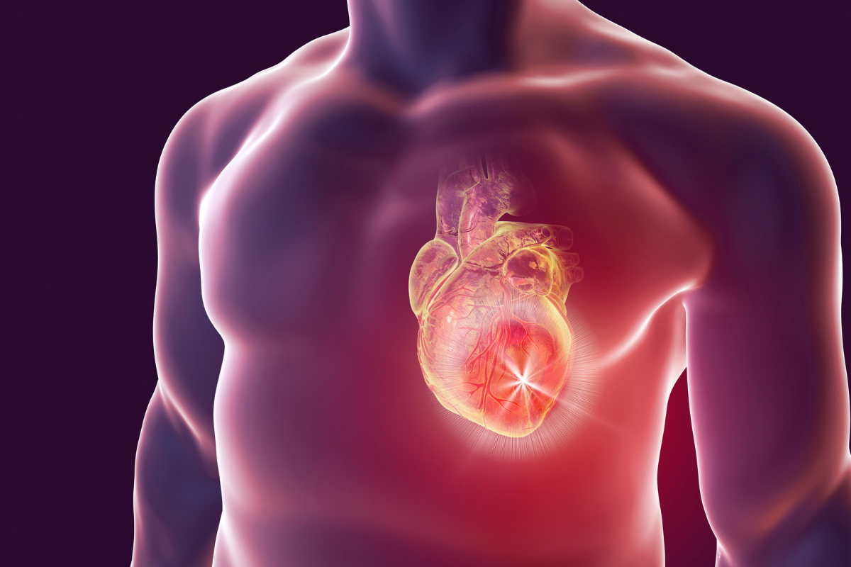 Ortomolecular salud cardiaca