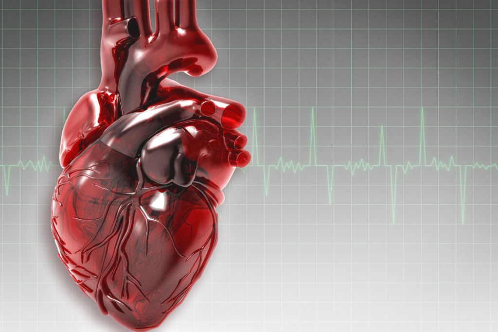 salud cardiovascula