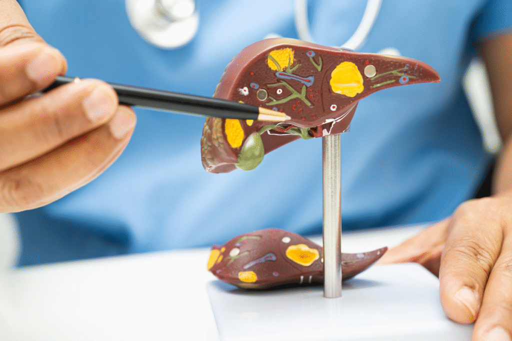 hígado graso ortonatura